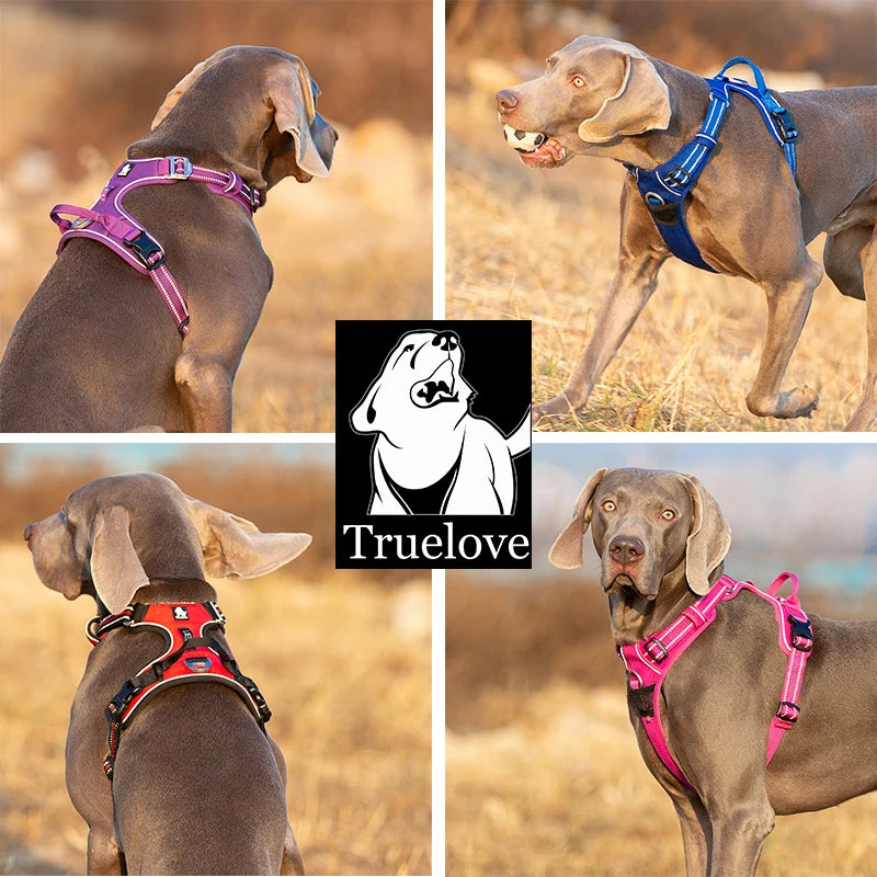 Zavero™ Reflective Dog Vest Harness — Safe Walking & Running