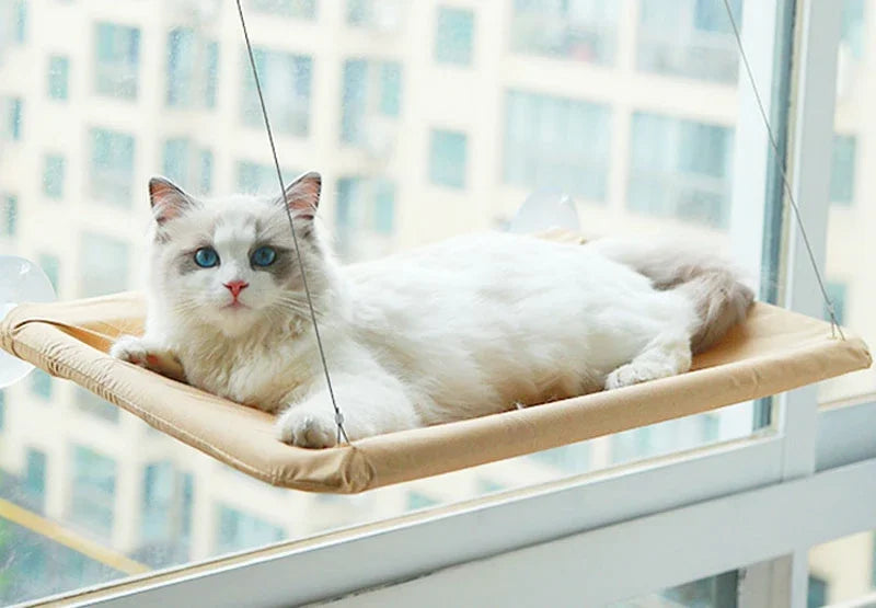 Zavero™ Window Hammock Cat Bed — 20KG Sunny Seat for Large Cats