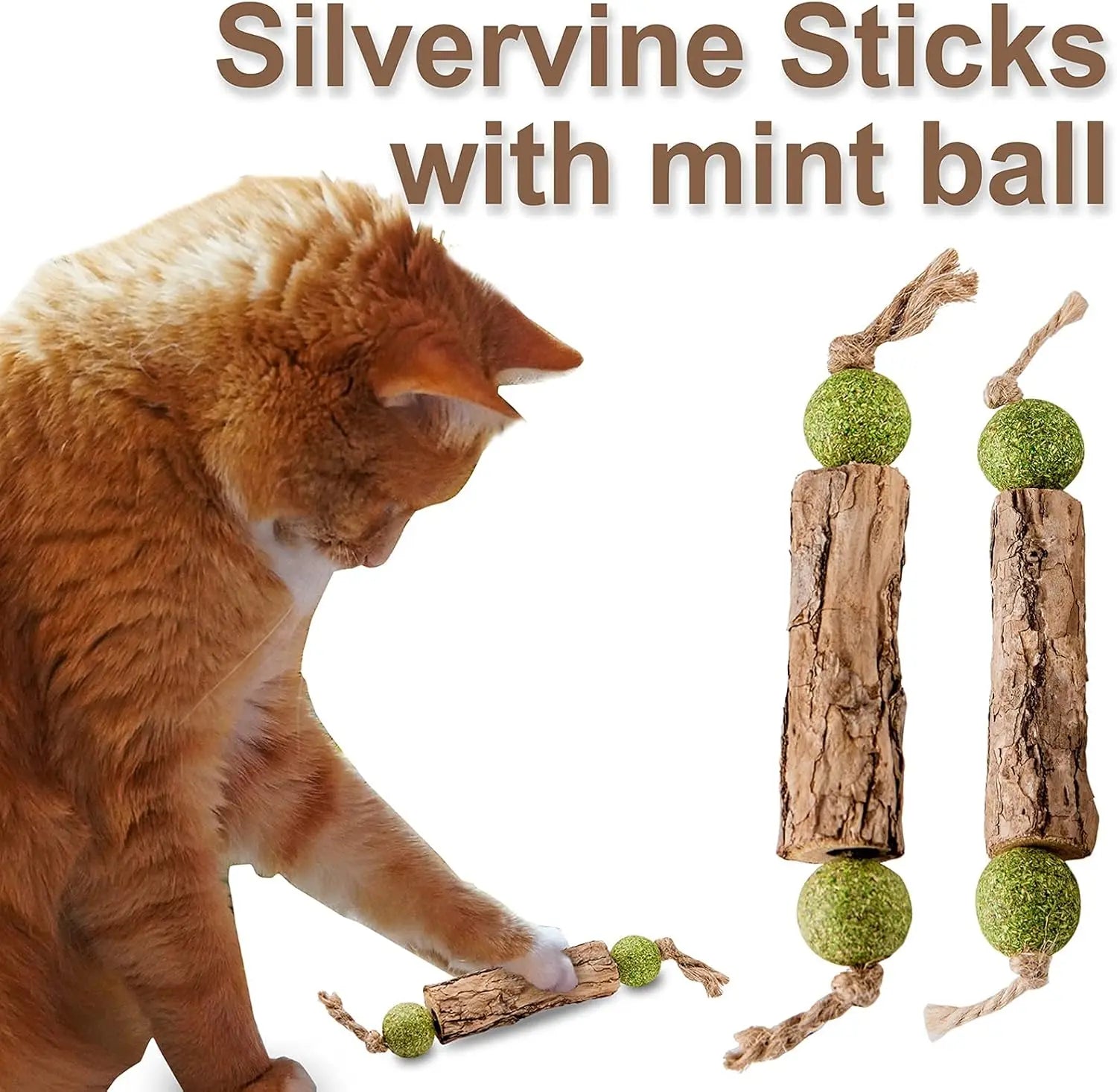 1pc Cat Cleaning Teeth Pure Natural Catnip Cat Molar Toothpaste Stick Silvervine Actinidia Fruit Matatabi Cat Snack Stick