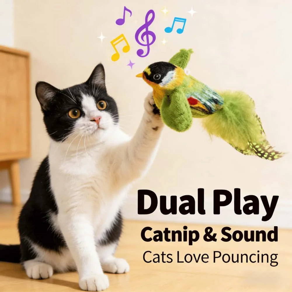 Interactive Cat Bird Toy with Sound Smart Induction Realistic Feathers Catnip Hanging Wall Mount Hunting Gear Indoor Cats Kitten