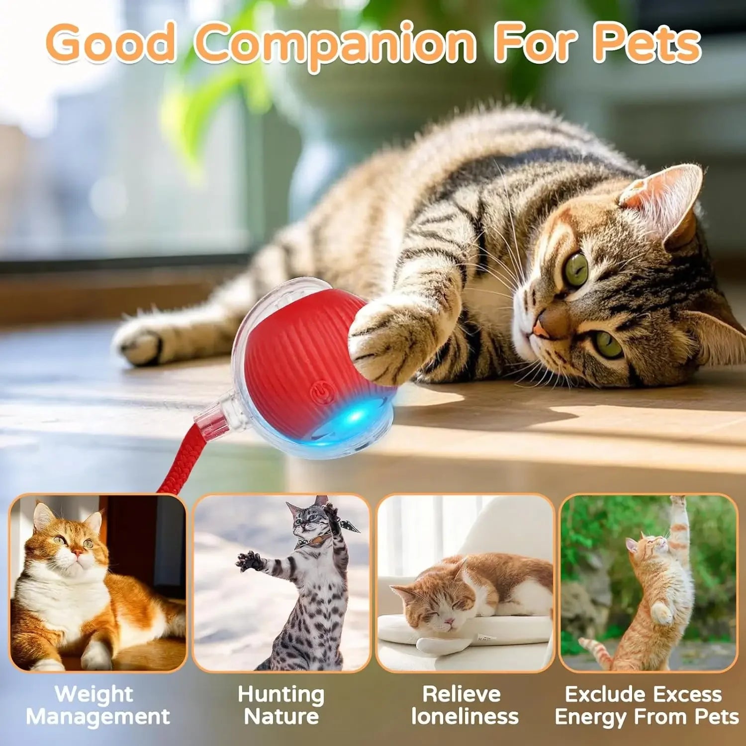 iLMH Cat Interactive Ball Toy Automatic Rolling Ball Faux Tail Rechargeable Smart Pet Electric Toy Pet Training Imitate Mouse