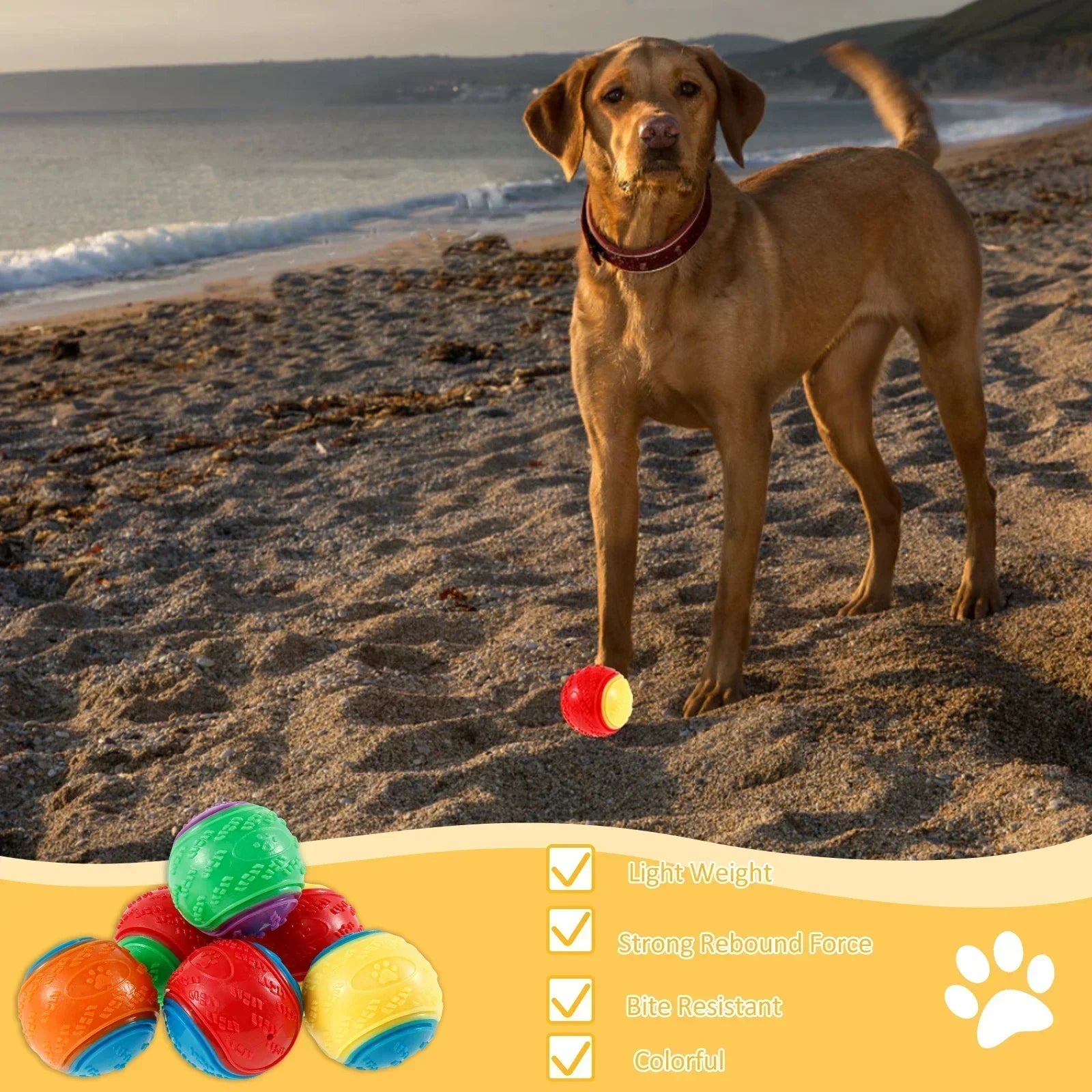 1/3Pcs Interactive Toys for Pet Dogs Chew Toys for Dogs To Grind Their Teeth and Have Fun Rubber Sounding Balls