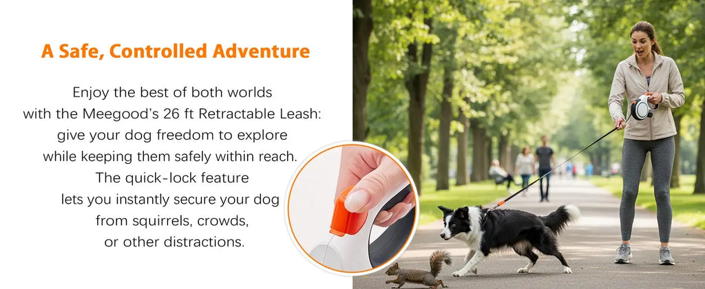 Zavero™ Heavy-Duty Retractable Leash — All-Size Dog Lead