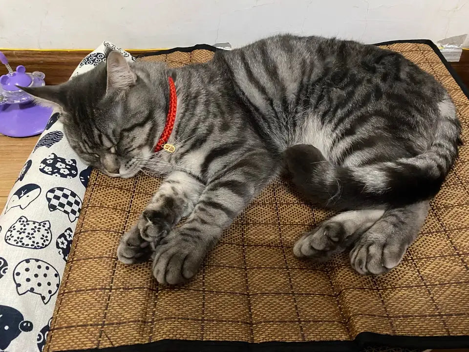 Zavero™ Rattan Cooling Cat Mat — Natural Self-Cool Summer Bed