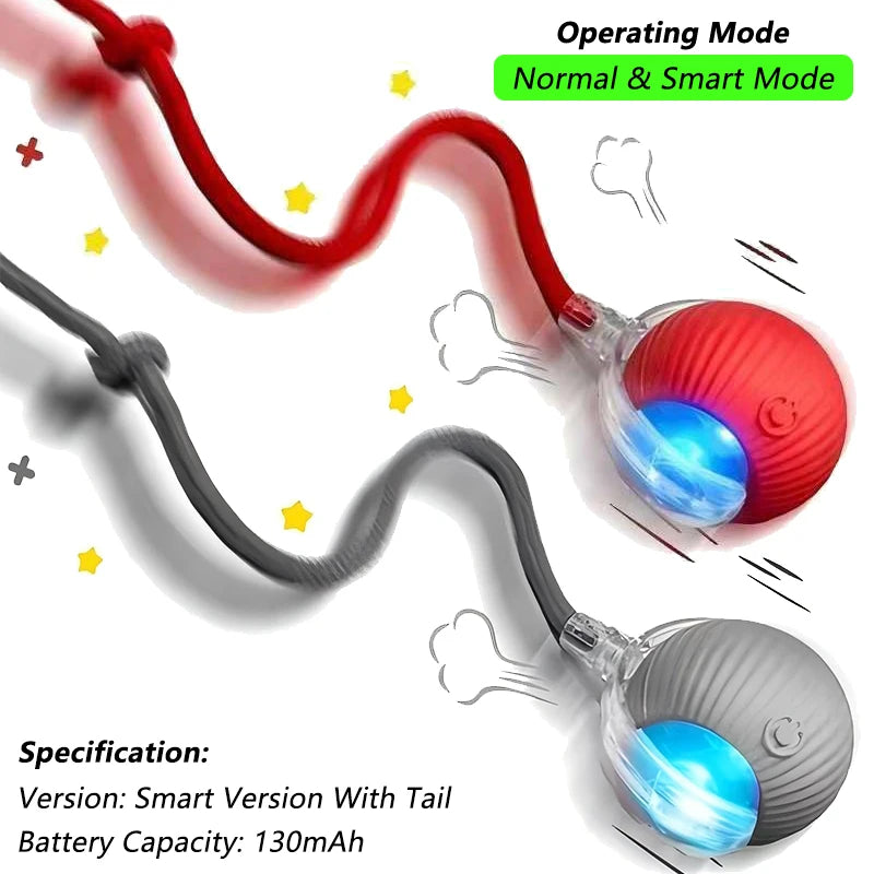 Zavero™ Auto-Roll Cat Ball — Rechargeable Smart Play