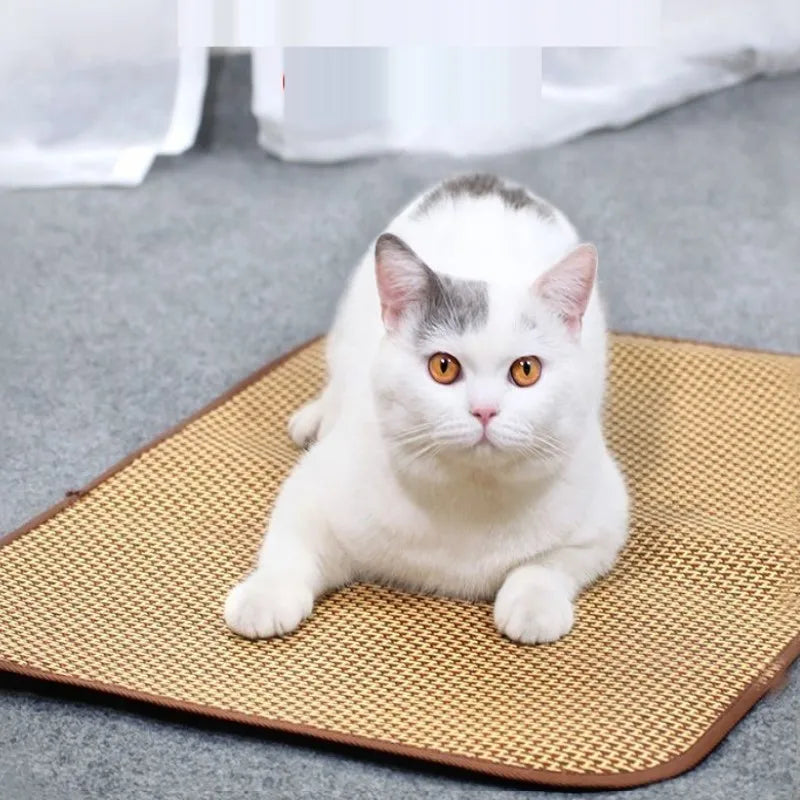 Zavero™ XL Pet Cooling Bed — Ice Pad Mat for Dogs & Cats