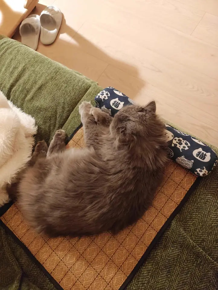 Zavero™ Rattan Cooling Cat Mat — Natural Self-Cool Summer Bed