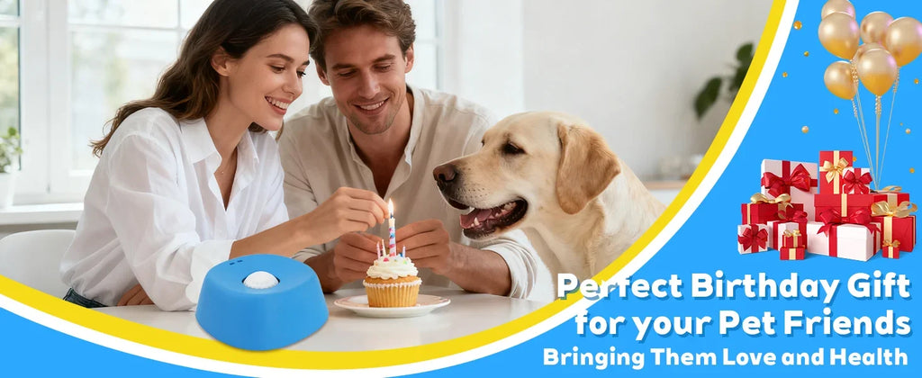 Anti-Choking Slow Feeder Dog Bowl Non-Slip 3/4 Cup - Lick Toy for Liquid Treats Bone Broth Yogurt