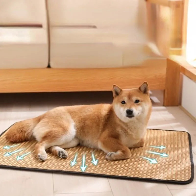 Zavero™ XL Pet Cooling Bed — Ice Pad Mat for Dogs & Cats