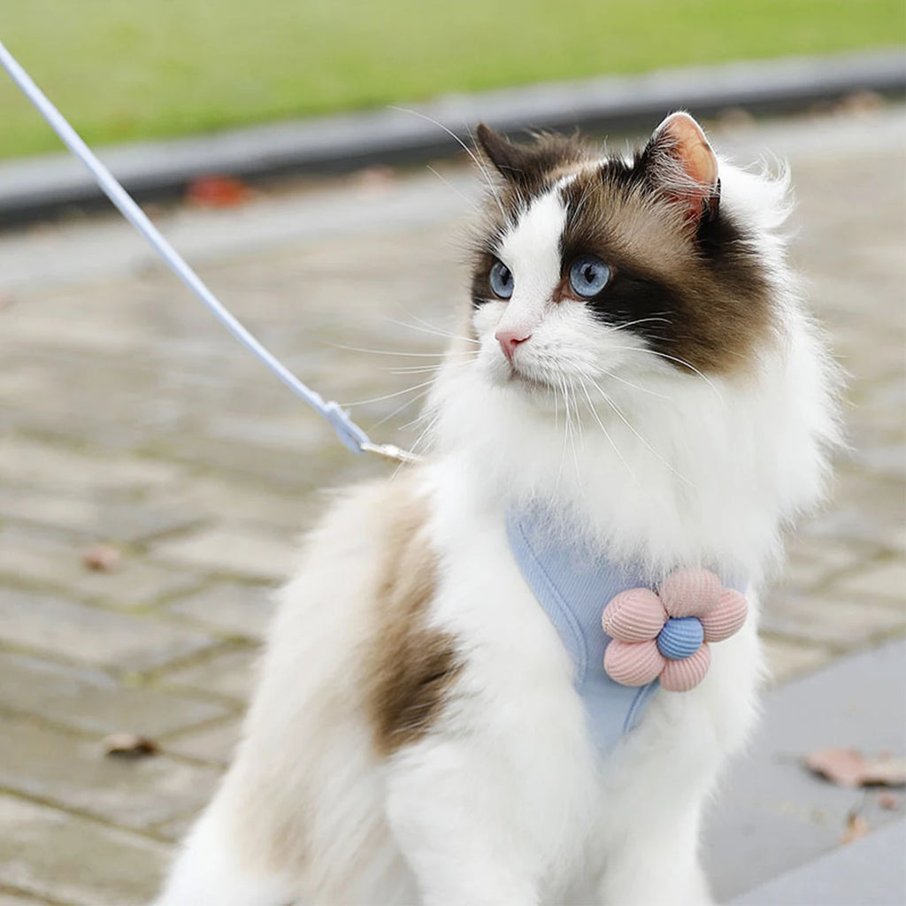 Cat Harness and Leash Sets Adjustable Dog Harness for Small Dog Leash Breashable Pet Harness Out Walking Dog Strap