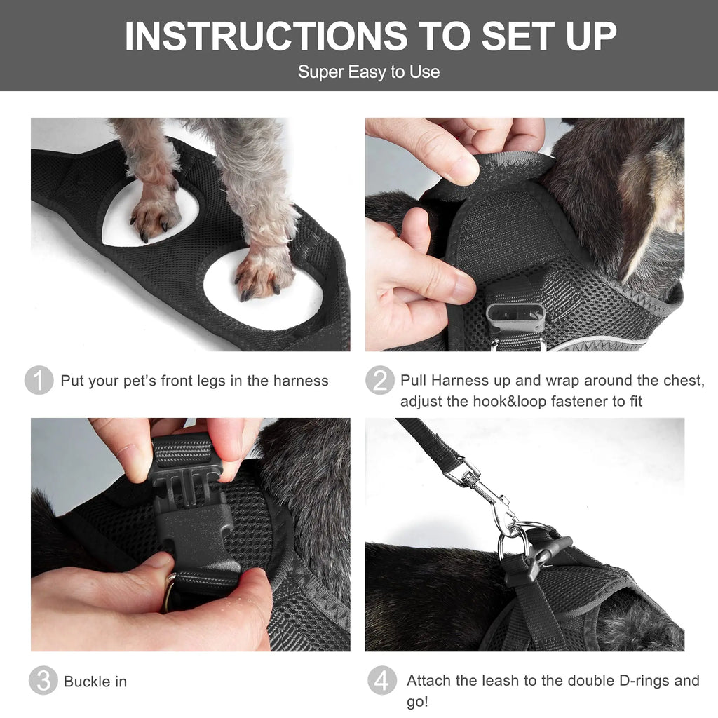 Cat Dog Harness with Lead Leash Adjustable Vest Polyester Mesh Breathable Harnesses Reflective sti for Small Dog Cat accessories