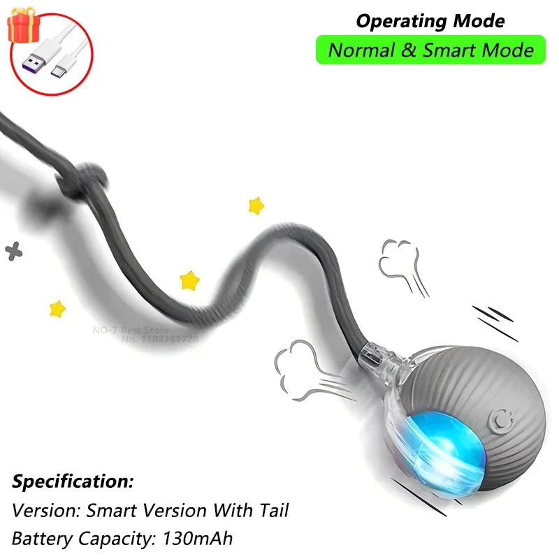 Zavero™ Auto-Roll Cat Ball — Rechargeable Smart Play