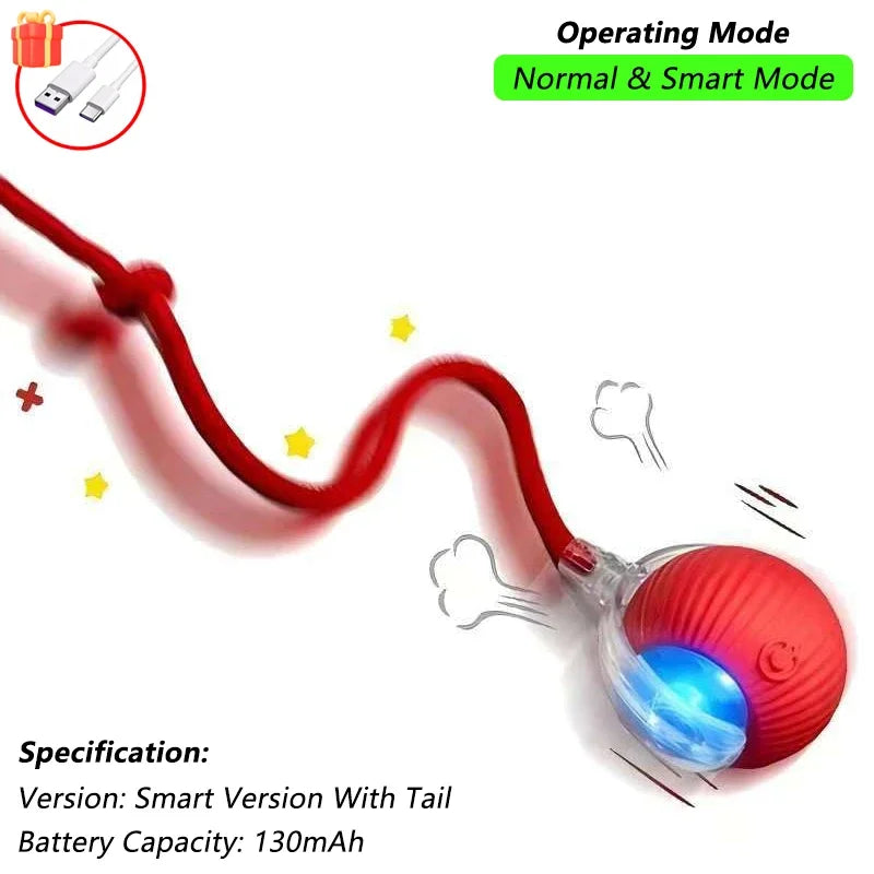 Zavero™ Auto-Roll Cat Ball — Rechargeable Smart Play