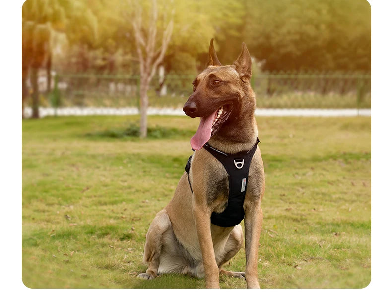 Zavero™ No-Pull Dog Harness — Reflective Adjustable Comfort