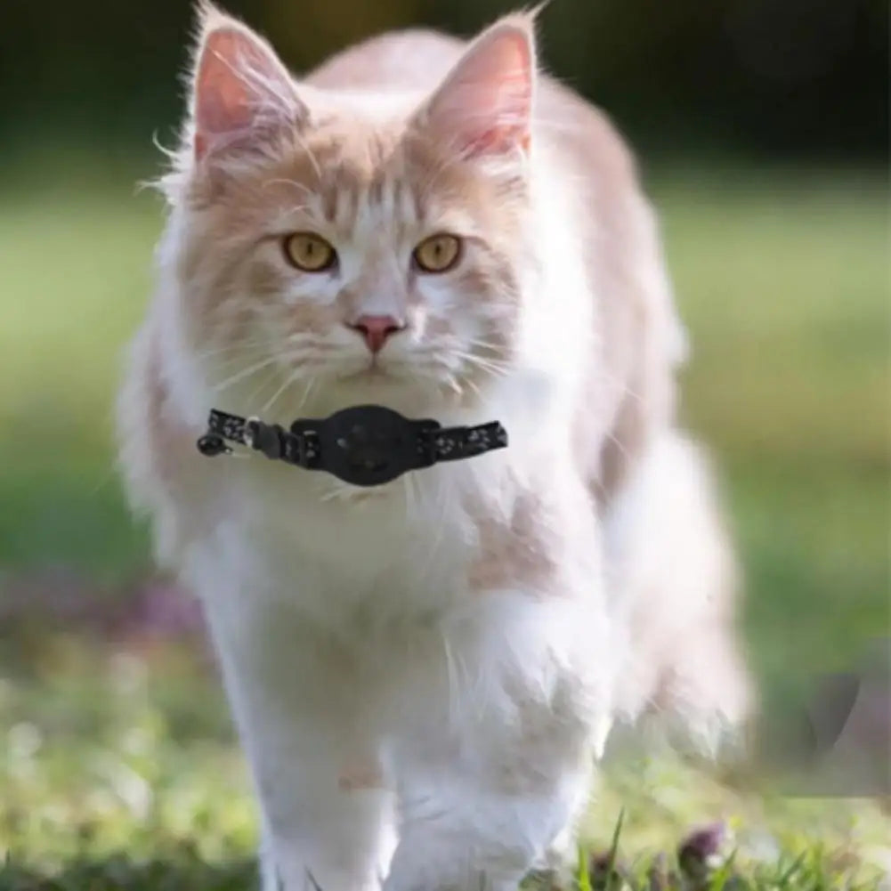 Accurate Positioning Night Reflective Adjustable Collar Pet Tracking GPS Positioning Collar Phone APP Lightweight Cat Tracker