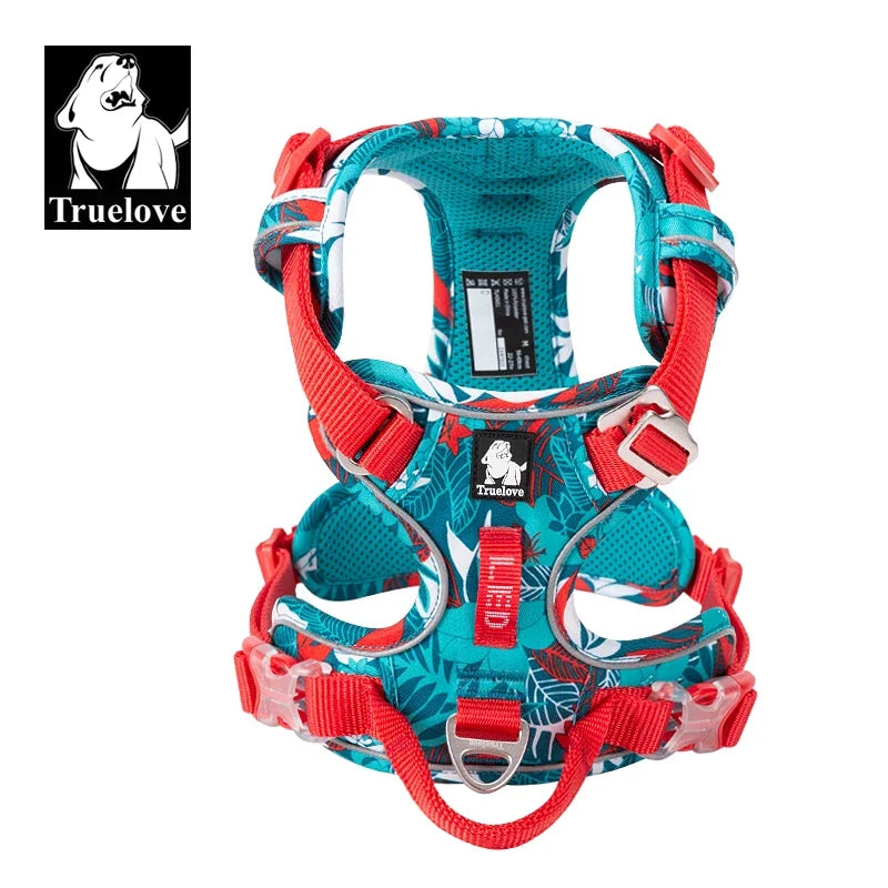 Dog safety harness vest with red straps, teal patterned fabric, and buckles