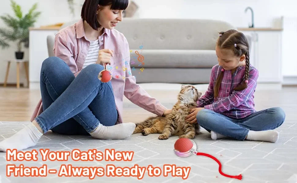 iLMH Cat Interactive Ball Toy Automatic Rolling Ball Faux Tail Rechargeable Smart Pet Electric Toy Pet Training Imitate Mouse