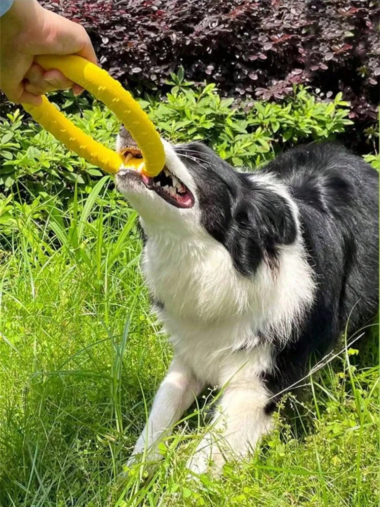 Dog Ring Toys Indestructible Chewing Flying Floating Training Tools Fetch for Small Medium Large Dogs Throwing Catching Flying