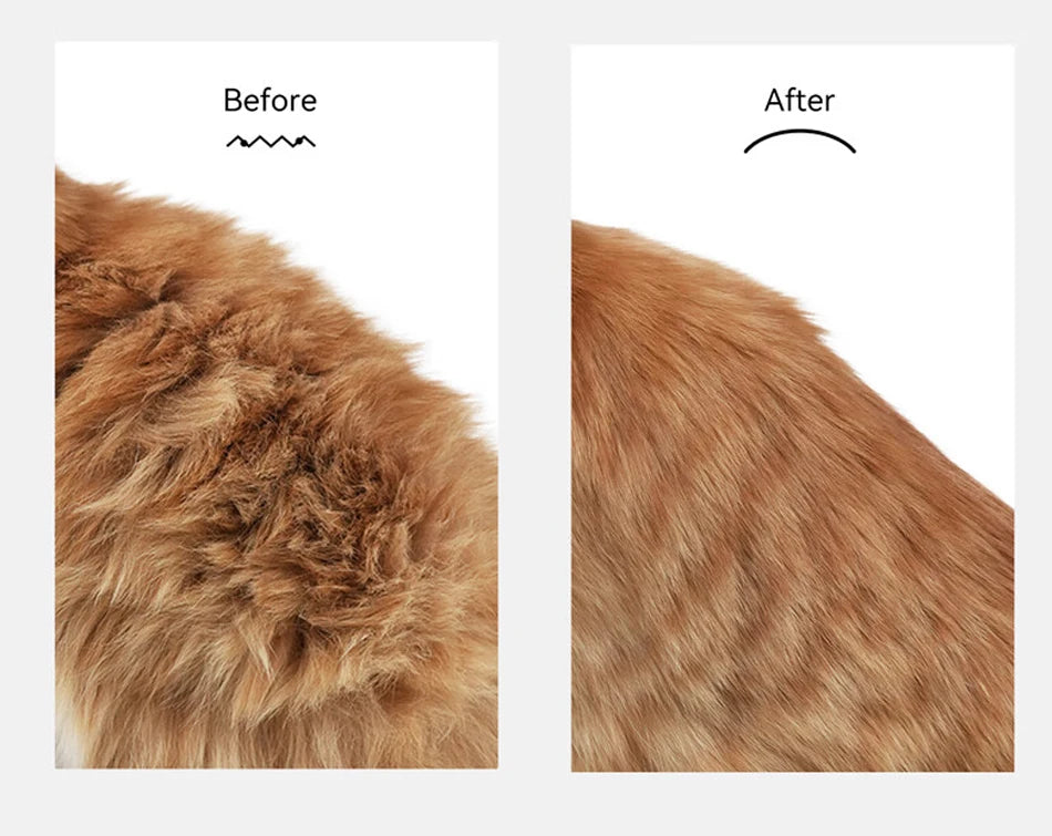 Zavero™ Steam Grooming Brush — Electric Spray Comb for Pets