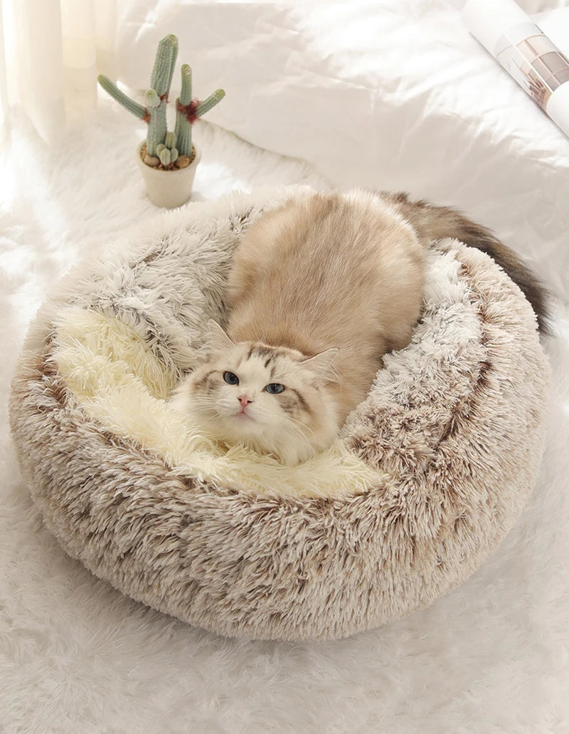 Zavero™ Cave Cat Nest — Plush Warm Sleeping Bed for Kittens