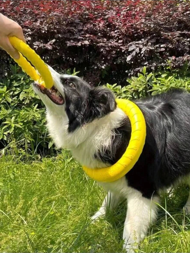 Dog Ring Toys Indestructible Chewing Flying Floating Training Tools Fetch for Small Medium Large Dogs Throwing Catching Flying