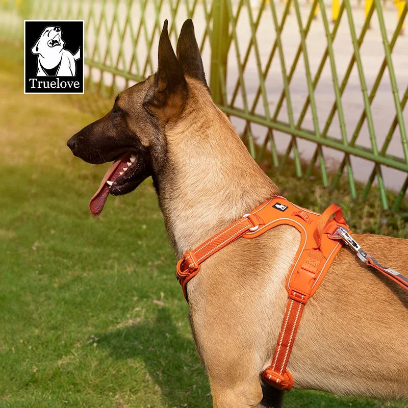 Zavero™ No-Pull Dog Harness — Reflective Adjustable Comfort