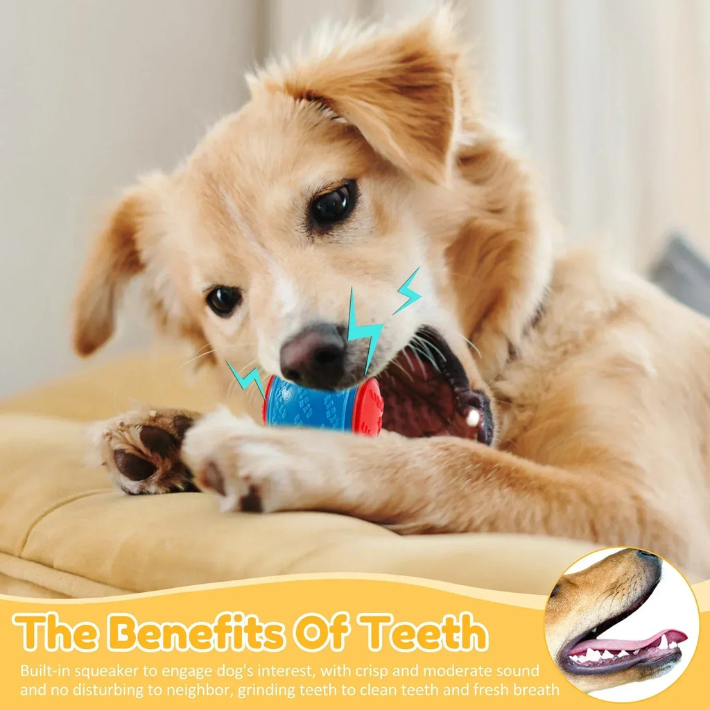 1/3Pcs Interactive Toys for Pet Dogs Chew Toys for Dogs To Grind Their Teeth and Have Fun Rubber Sounding Balls