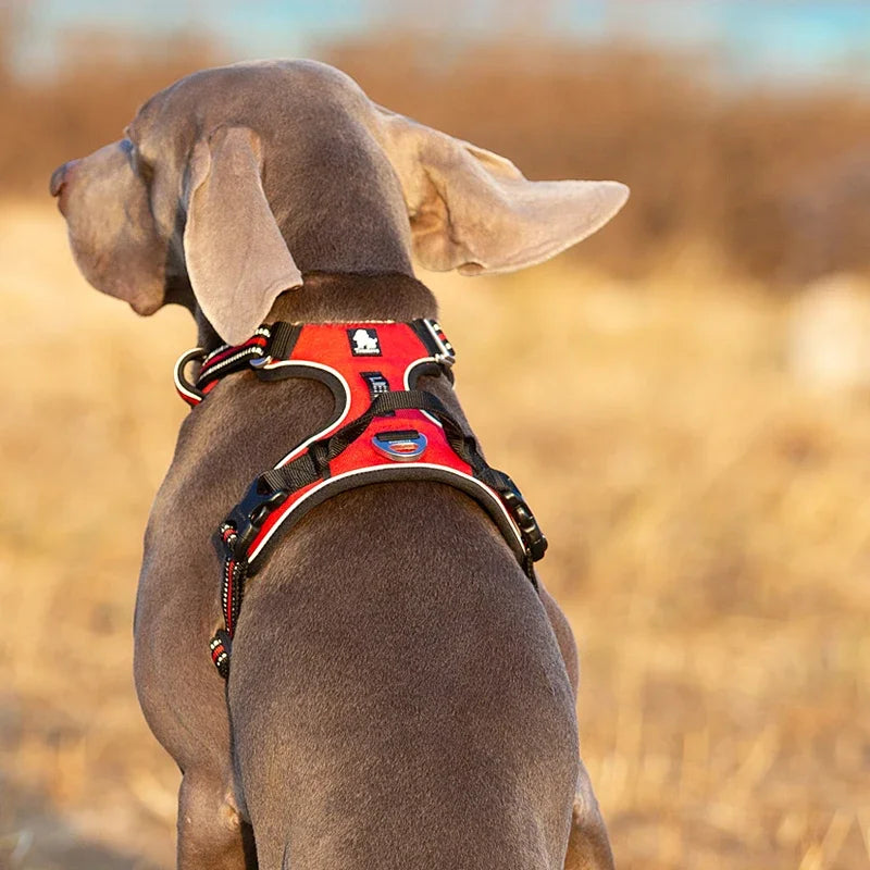 Zavero™ Reflective Dog Vest Harness — Safe Walking & Running