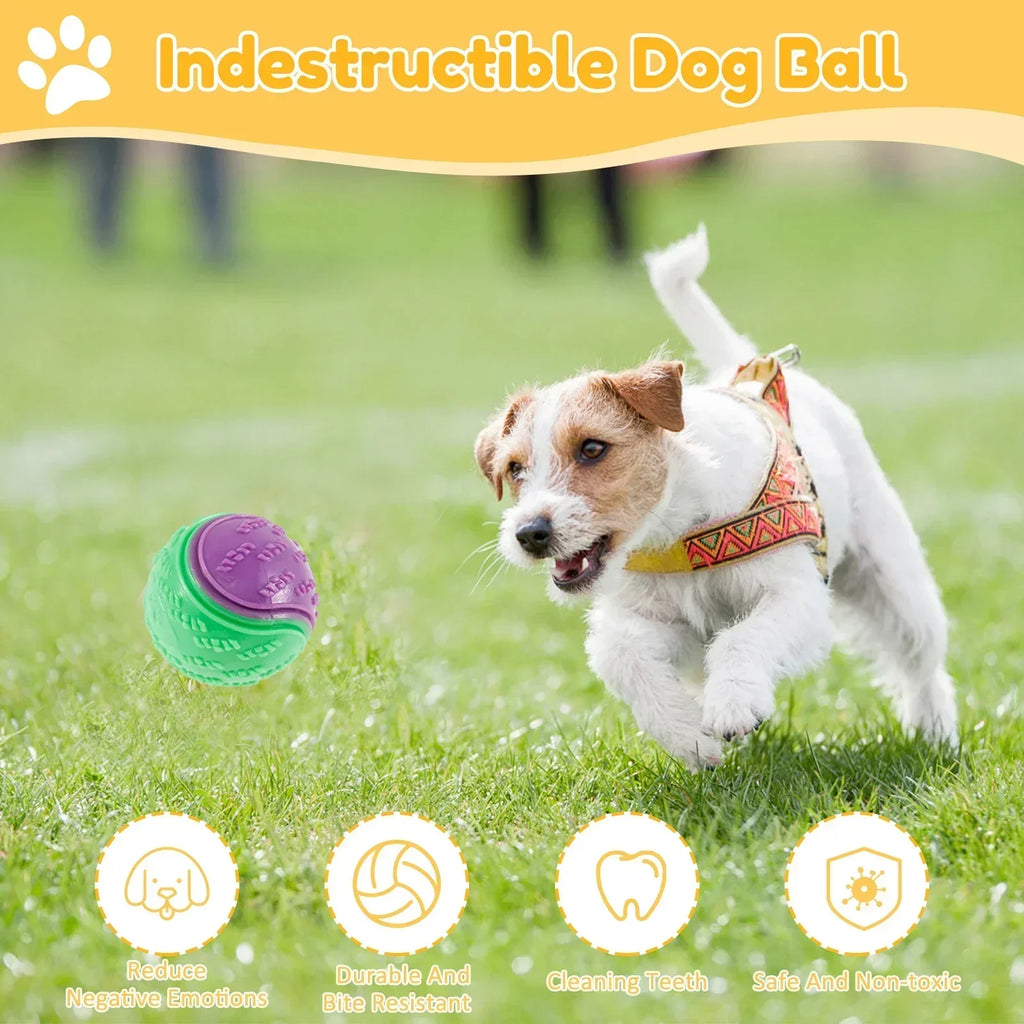 1/3Pcs Interactive Toys for Pet Dogs Chew Toys for Dogs To Grind Their Teeth and Have Fun Rubber Sounding Balls