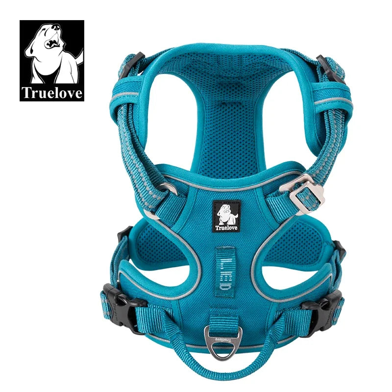 Teal dog safety harness vest with padded mesh panels and metal D-ring buckles