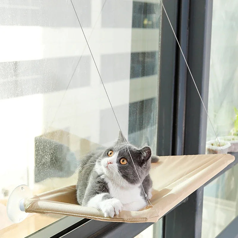 Zavero™ Window Hammock Cat Bed — 20KG Sunny Seat for Large Cats