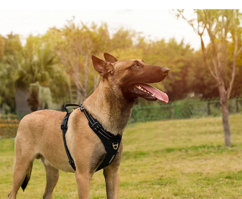 Zavero™ No-Pull Dog Harness — Reflective Adjustable Comfort