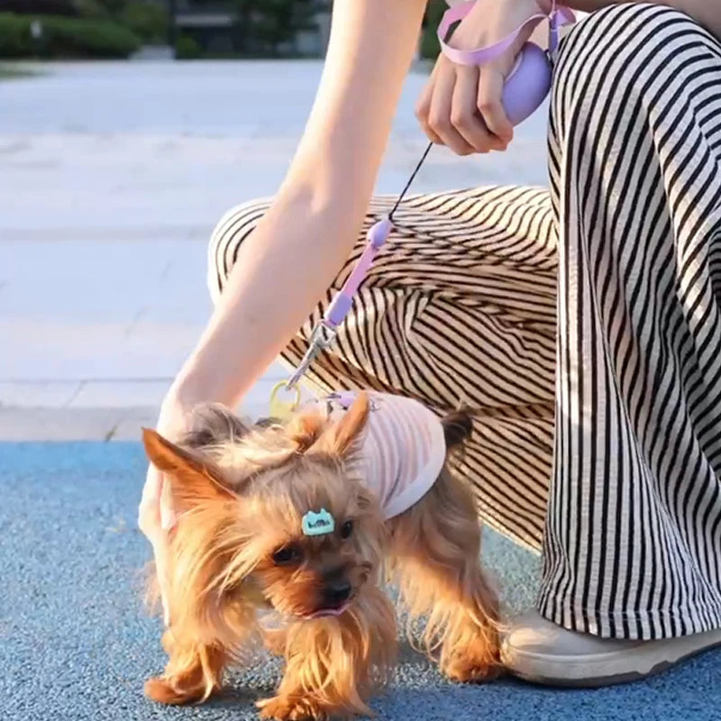 Zavero™ Compact Retractable Leash — Portable Small Dog Lead