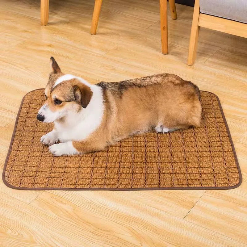 Zavero™ XL Pet Cooling Bed — Ice Pad Mat for Dogs & Cats
