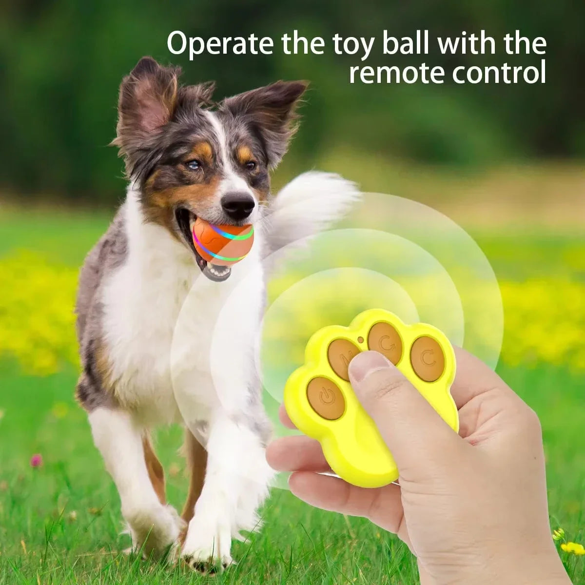 Active Roling Ball for Dogs - 2.2" Sturdy Motion Actived Interactive Dog Ball for Puppy/Small/Medium Dogs, USB Rechargeable Ball