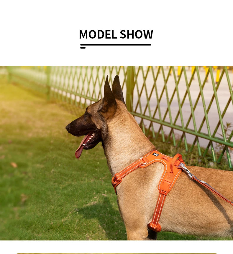 Zavero™ No-Pull Dog Harness — Reflective Adjustable Comfort