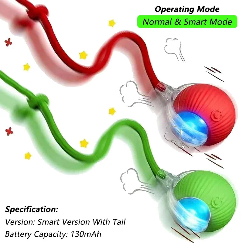 Zavero™ Auto-Roll Cat Ball — Rechargeable Smart Play