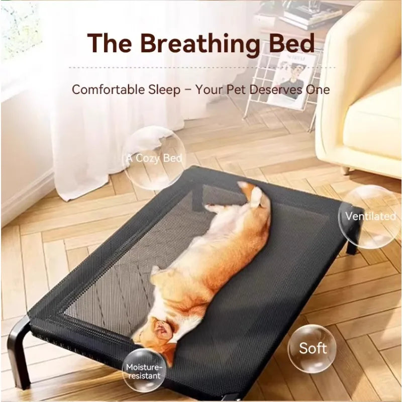 Zavero™ Elevated Outdoor Dog Bed — Non-Slip Moisture-Proof Nest