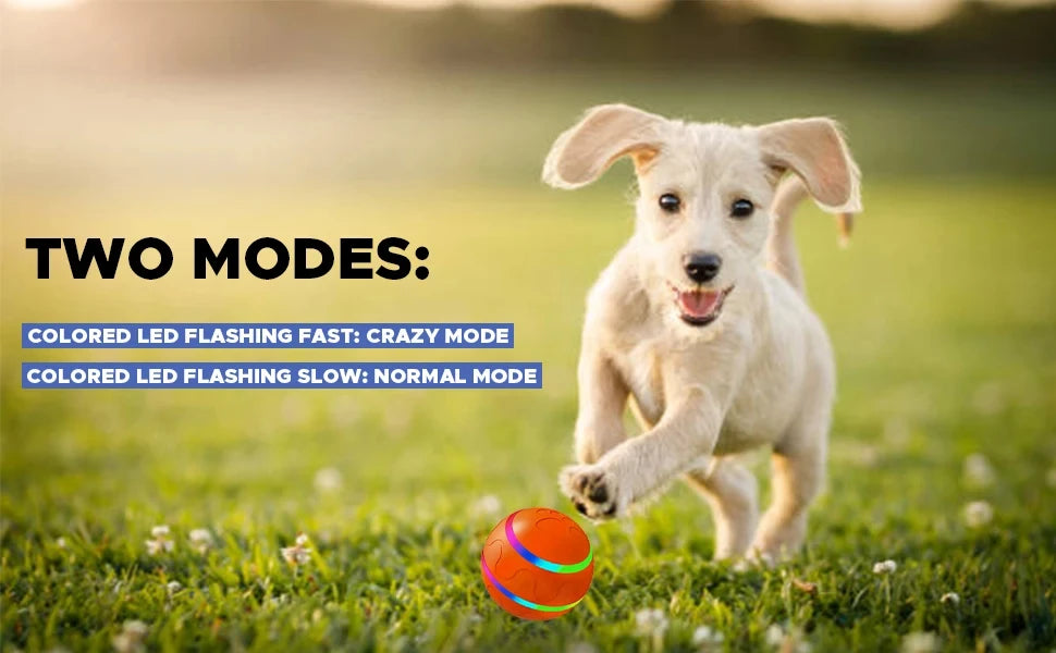 Active Roling Ball for Dogs - 2.2" Sturdy Motion Actived Interactive Dog Ball for Puppy/Small/Medium Dogs, USB Rechargeable Ball