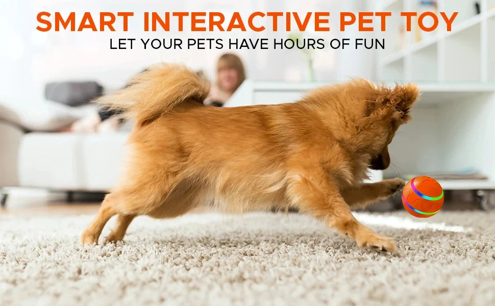 Active Roling Ball for Dogs - 2.2" Sturdy Motion Actived Interactive Dog Ball for Puppy/Small/Medium Dogs, USB Rechargeable Ball