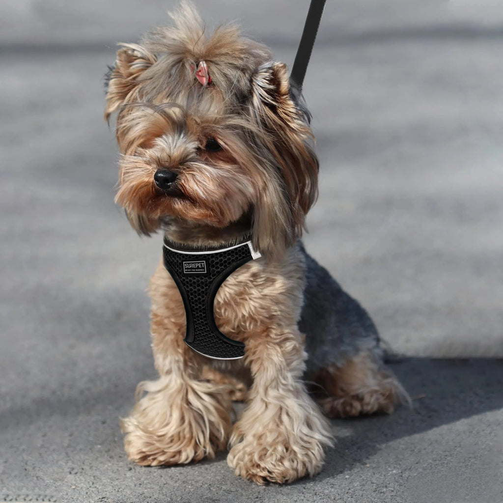 Cat Dog Harness with Lead Leash Adjustable Vest Polyester Mesh Breathable Harnesses Reflective sti for Small Dog Cat accessories