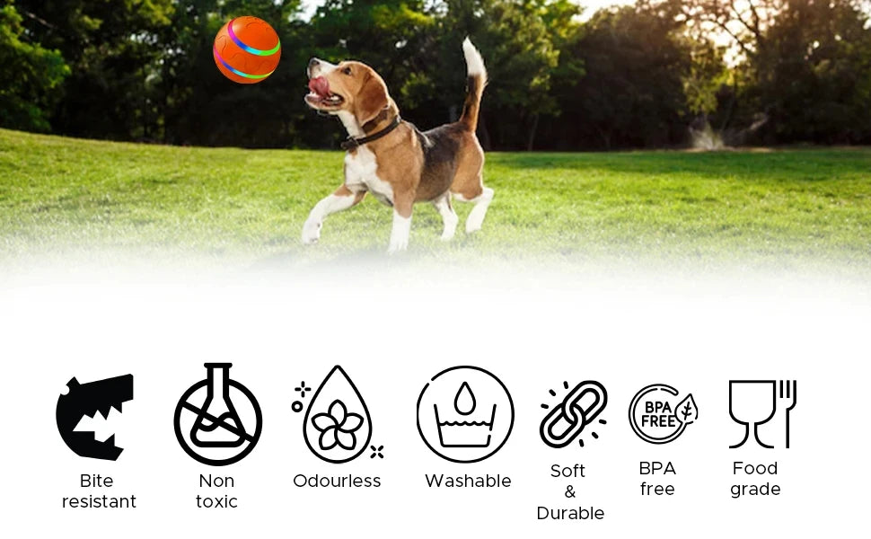 Active Roling Ball for Dogs - 2.2" Sturdy Motion Actived Interactive Dog Ball for Puppy/Small/Medium Dogs, USB Rechargeable Ball